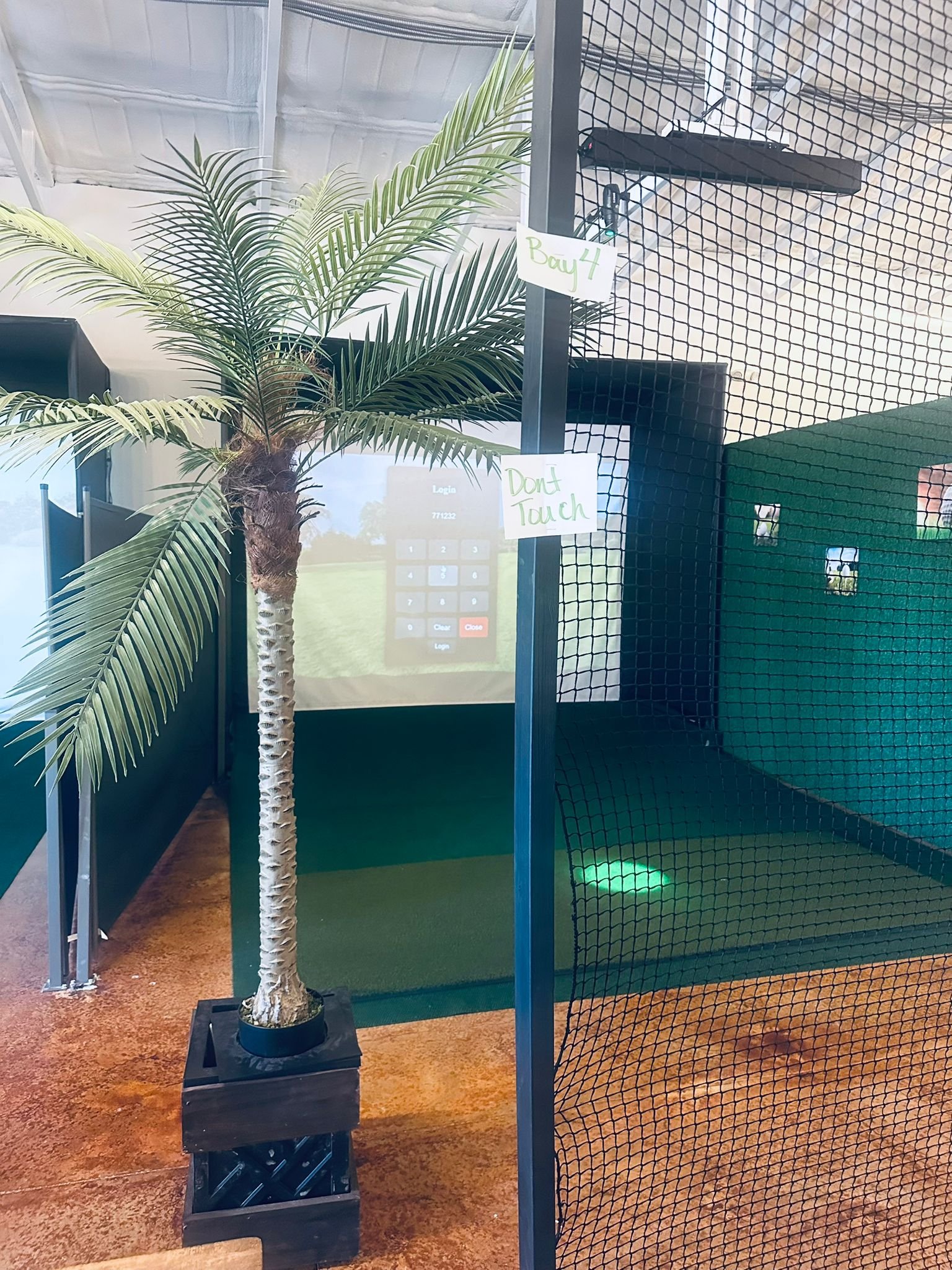 Golf Simulator
